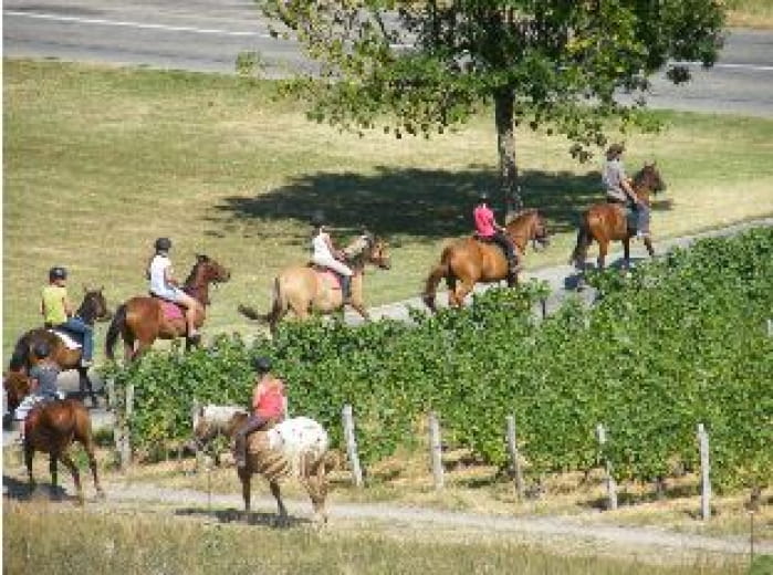 Balades à cheval - Le châlet des vignobles