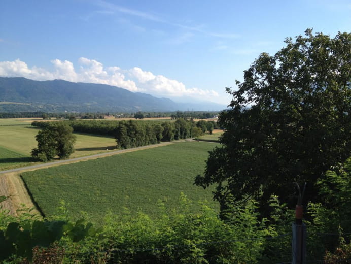 Vue depuis le jardin