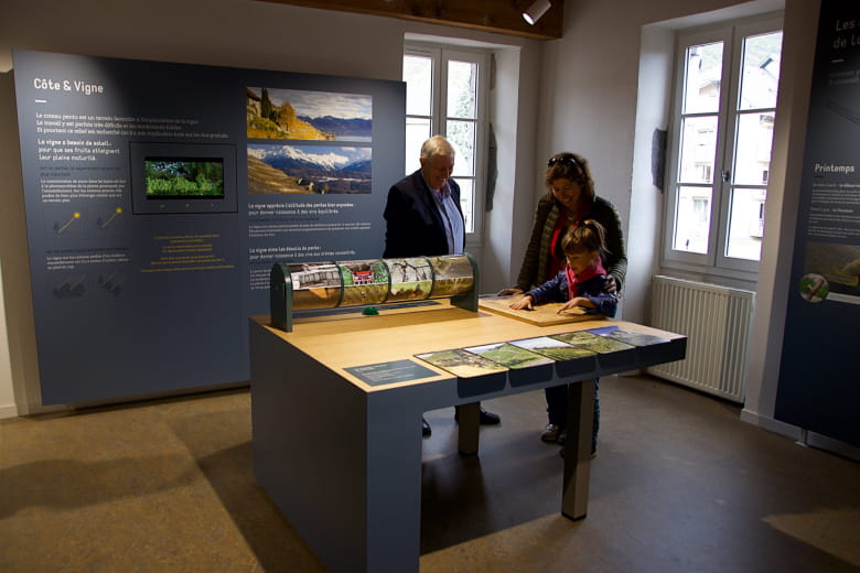 Visite libre du Musée de la vigne et du vin de Savoie