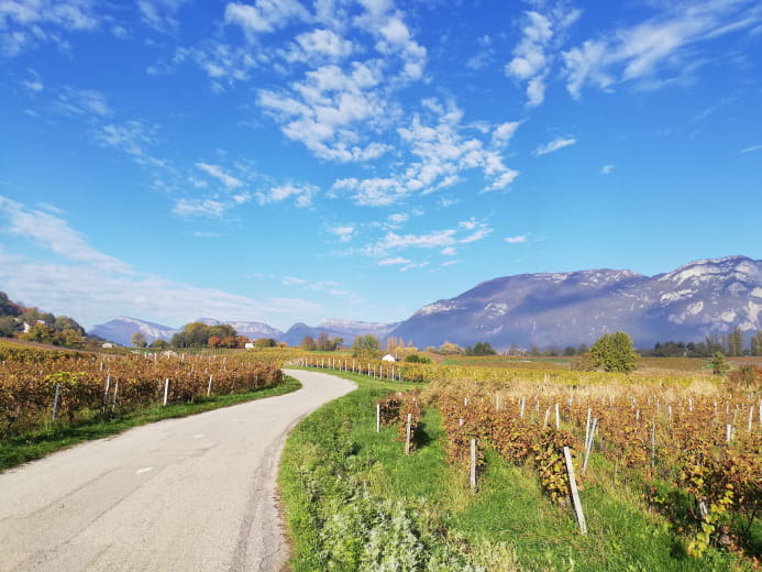 Wine Tour savoyard - 8 heures - avec chauffeur privé