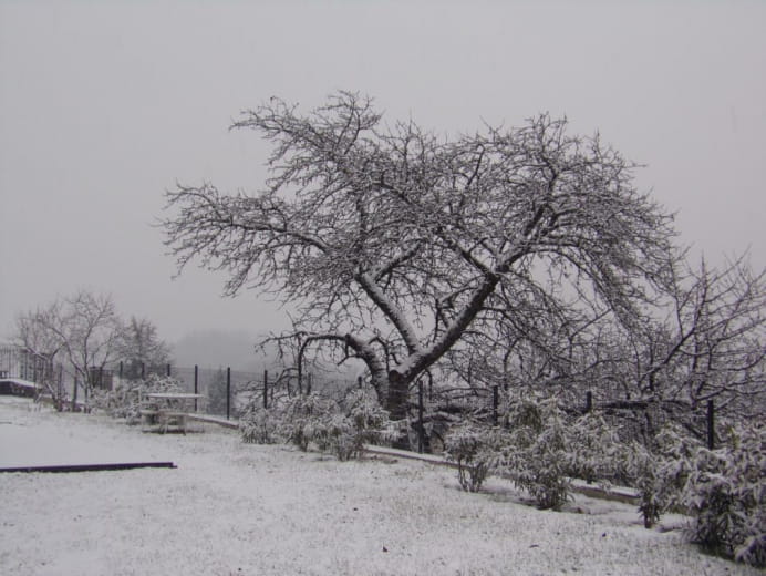 Le terrain sous la neige