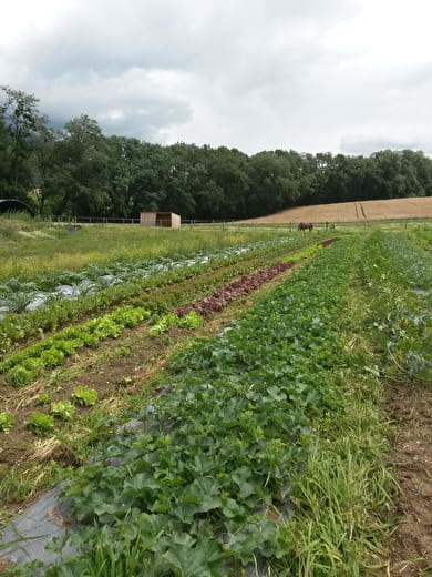 Au jardin de la Faranche