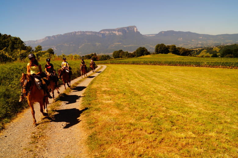 Le chalet des vignobles