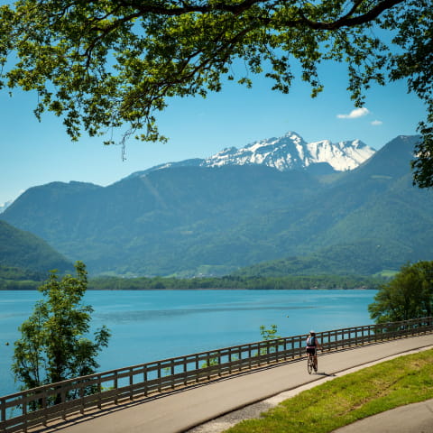 Balade à vélo sur les rives du lac d'Annecy