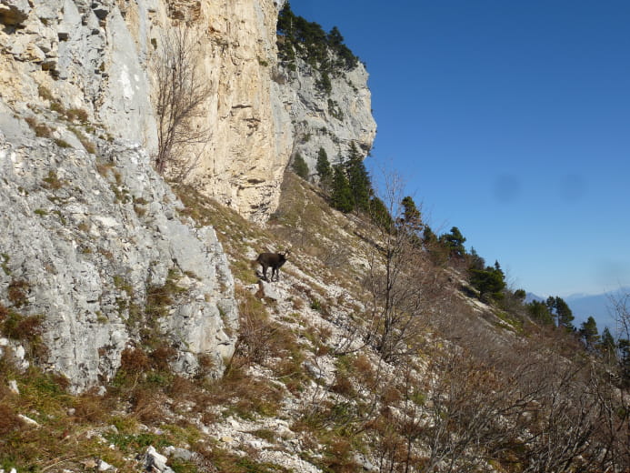 Nicolas Peillon - Escapade, Sentes & Nature