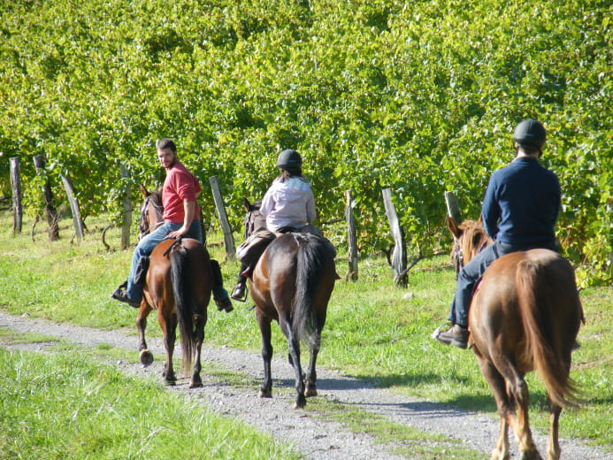 Balades à cheval - Le châlet des vignobles