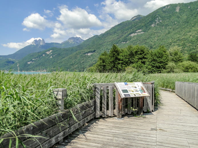 Panneau d'information réserve naturelle du Bout du Lac d'Annecy