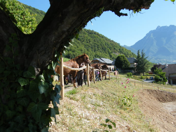 Balades à cheval - Le châlet des vignobles