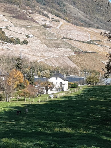 L’Annexe du Boisset