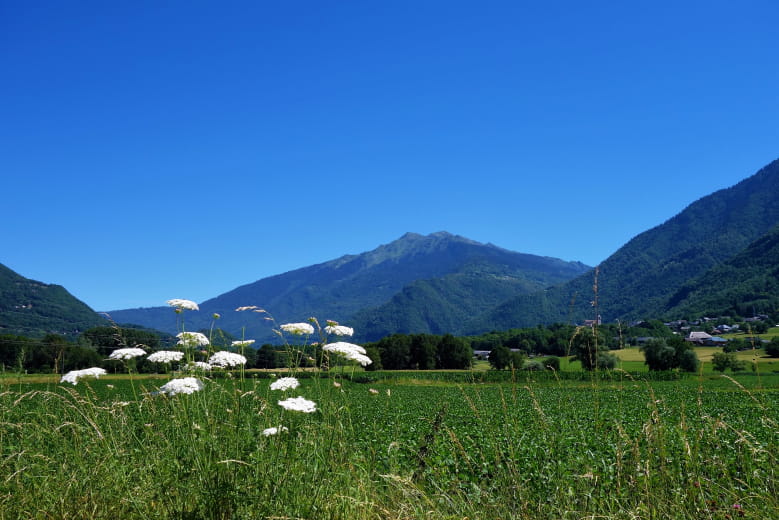 En cheminant dans la vallée