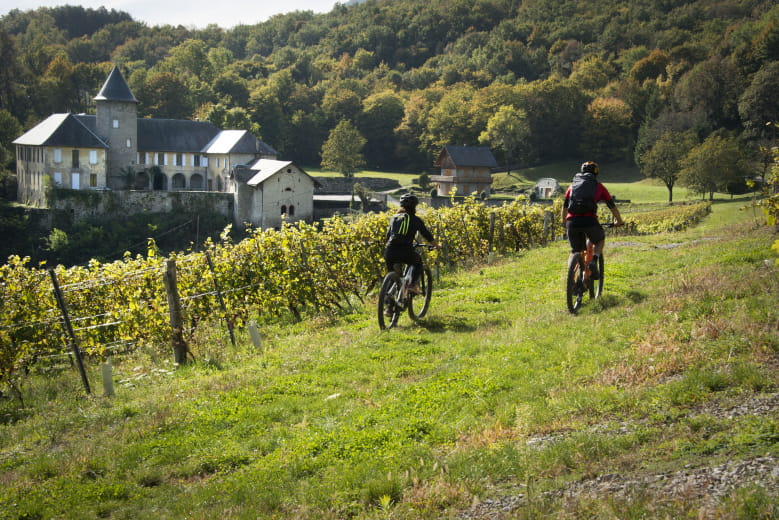 LE FASCINANT APREM' -Balade en VTT électrique + Dégustation de Vins + Repas concert